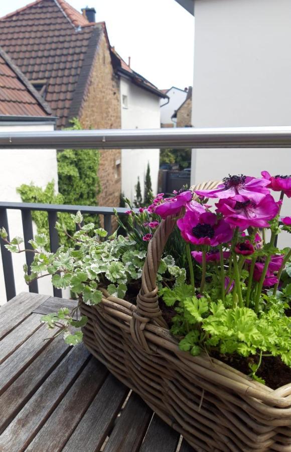 Apartment Franzoesin - Ingo Telschow & Catherine Tempier Gbr
